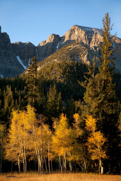 istock Fall colors and Wheeler Peak Nevada's Great Basin National Park 155100217