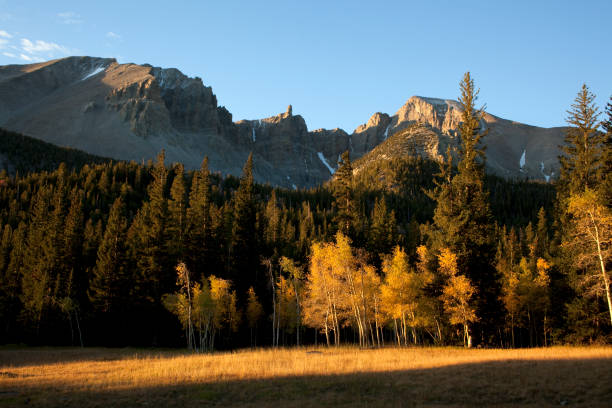 Sunrise on Wheeler Peak Nevada's Great Basin National Park horizontal  great basin stock pictures, royalty-free photos & images