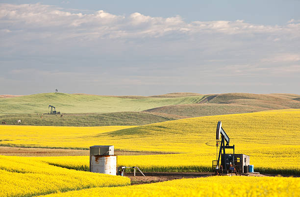 istock Three Pumpjacks in Beautiful Rolling Oil Field in Alberta 155100308