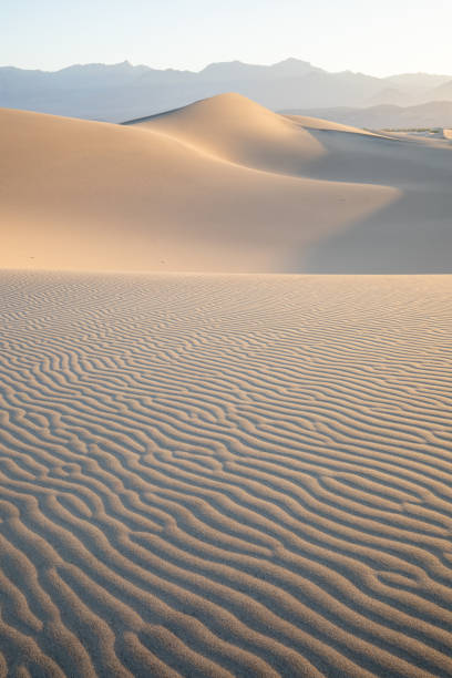 istock Scenic view on natural ripple sand pattern during sunrise at Mesquite Flat Sand Dunes, Death Valley National Park, California, USA. Morning walk in Mojave desert with Amargosa Mountain Range in back 1551016397