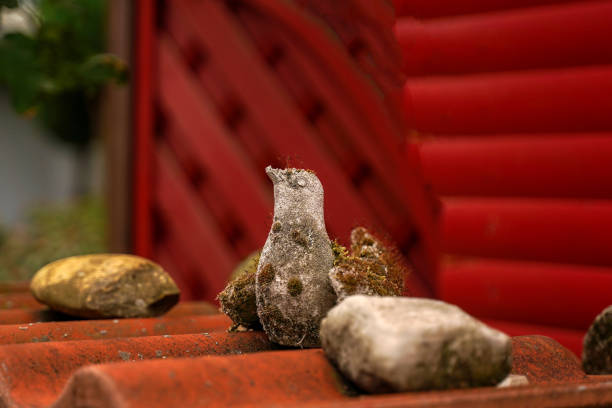 Stone bird, original garden decor, moss-covered stone, selective focus