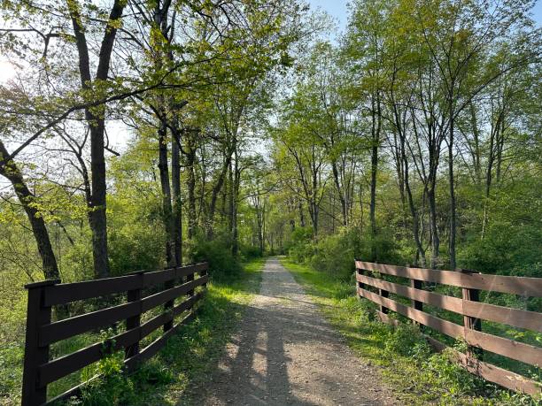 istock Clarion Tittle Toby Creek Trail 1551062168