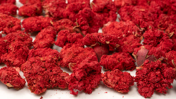 istock Dried pomegranate flower as a background. 1551066554