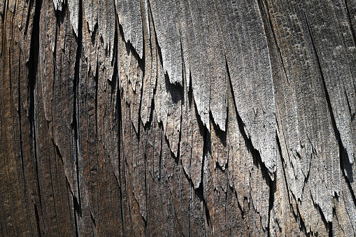 A abstract design created by the weathering of the wood on an old building exterior.