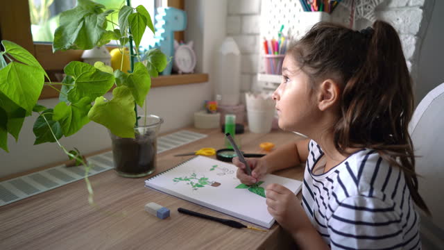 Creative Caucasian girl, drawing bean plant in the sketchbook