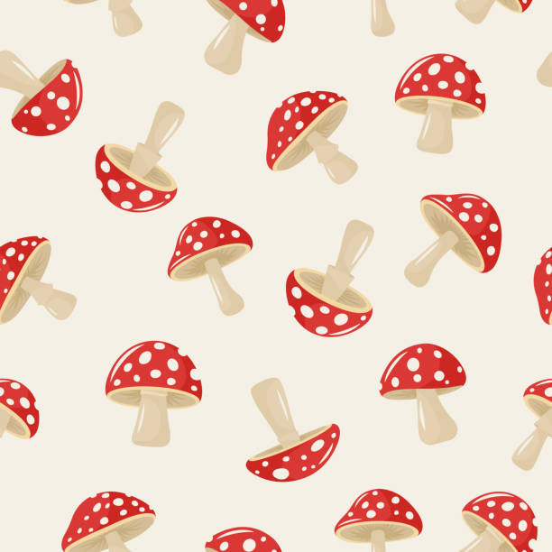 Vector Seamless Pattern with Hand Drawn Cartoon Flat Mushrooms on White Background. Amanita Muscaria, Fly Agaric Illustration, Mushrooms Collection. Magic Mushroom Symbol, Design Template Vector Seamless Pattern with Hand Drawn Cartoon Flat Mushrooms on White Background. Amanita Muscaria, Fly Agaric Illustration, Mushrooms Collection. Magic Mushroom Symbol, Design Template. Cepe stock illustrations