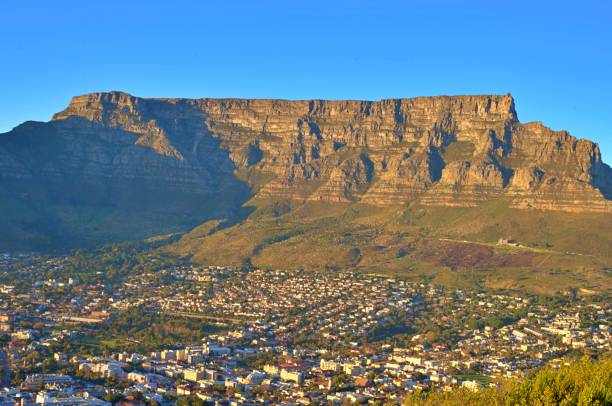 blick auf das stadtzentrum von kapstadt und den tafelberg - nationalpark table mountain stock-fotos und bilder