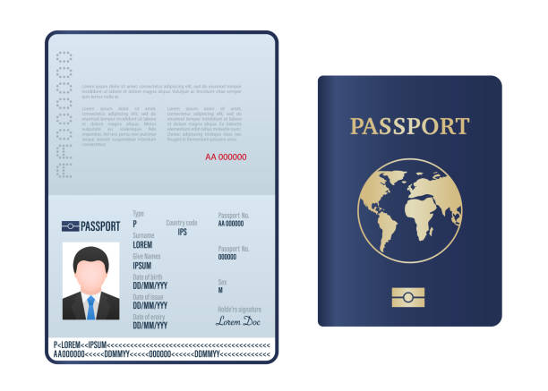 빈 열린 여권 템플릿입니다. 개인 데이터 샘플이 있는 외국 여권. 여행 및 출입국 서류. 샘플 데이터, 사진 및 서명이 있는 여권 페이지. 벡터 그림 - passport passport stamp usa travel stock illustrations