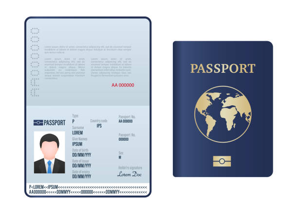 Blank open passport template. Foreign passport with a sample of personal data. Document for travel and immigration. Passport pages with sample data, photograph and signature. Vector illustration Blank open passport template. Foreign passport with a sample of personal data. Document for travel and immigration. Passport pages with sample data, photograph and signature. Vector illustration blue us passport cover stock illustrations