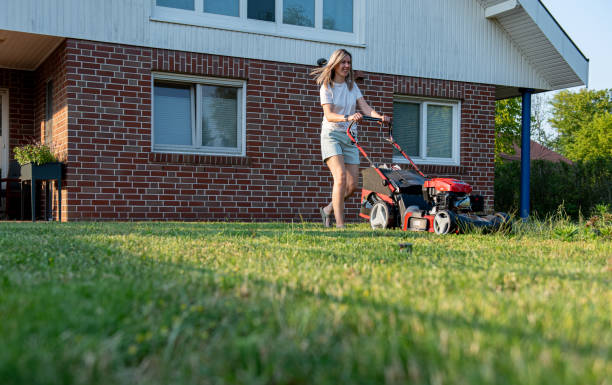 woman mowing lawn in garden stock photo