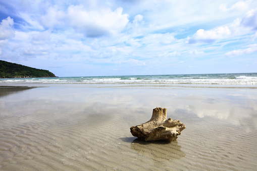 Back view of a woman sitting on a tree branch in the sea while spending a summer day on Moyenne island.