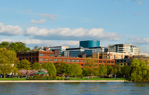 A View of Downtown Grand Rapids from Across the Grand River