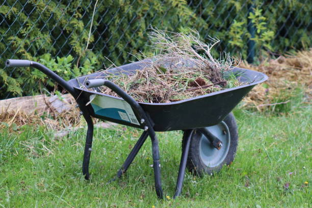 istock Wheelbarrow in the garden. 1551247572
