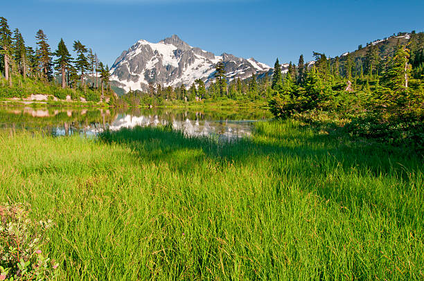 lago picture y el monte shuksan-i - lago picture fotografías e imágenes de stock