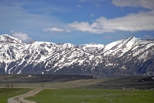 istock Road leading to snow-capped Teton mountains 1551251344