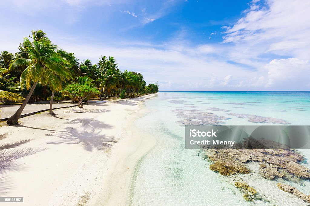 Wymarzona Plaża pod palmami idealne miejsce Fakarava Polinezja Francuska - Zbiór zdjęć royalty-free (Biały)
