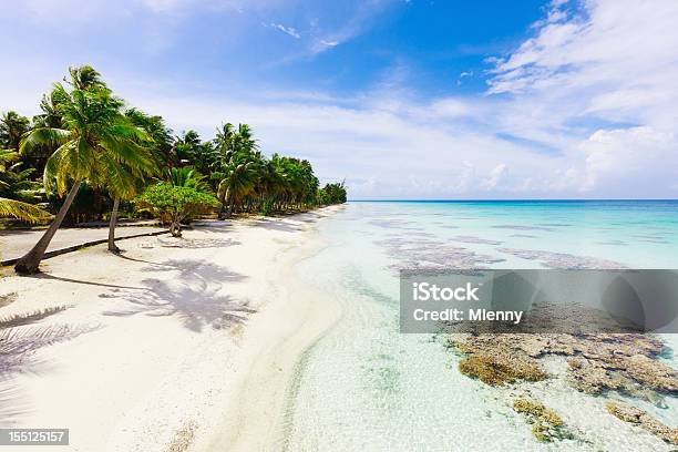 Wymarzona Plaża Pod Palmami Idealne Miejsce Fakarava Polinezja Francuska - zdjęcia stockowe i więcej obrazów Biały