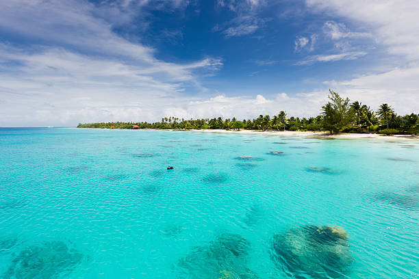 solitário perfeito praia fakarava polinésia francesa do pacífico sul - south pacific ocean island polynesia tropical climate imagens e fotografias de stock