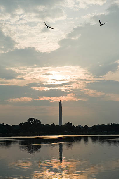 istock Two birds flying over the Potomac river at sunrise 155125885