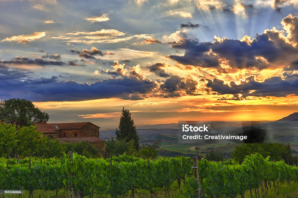 Toscana, paesaggio - Foto stock royalty-free di Agricoltura