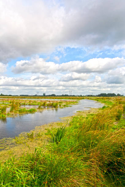 istock Kropswolderbuitenpolder, Groningen (Nederland / Netherlands) 1551265266