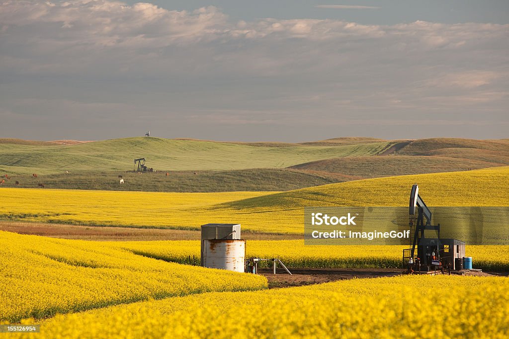 Pumpjacks sur la Prairie - Photo de Canada libre de droits