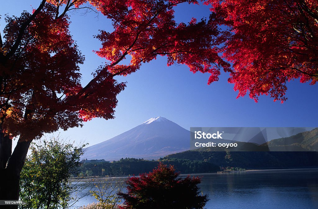 Automne paysage japonais - Photo de Arbre libre de droits