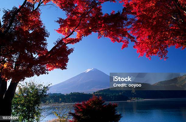 Autunno Paesaggio Giapponese - Fotografie stock e altre immagini di Acero giapponese - Acero giapponese, Acqua, Albero
