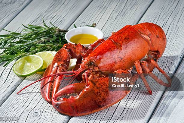 Lobster — стоковые фотографии и другие картинки Горизонтальный - Горизонтальный, Деликатес, Еда