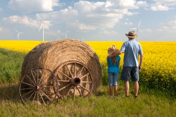 turbina a vento - manitoba canada prairie canola foto e immagini stock