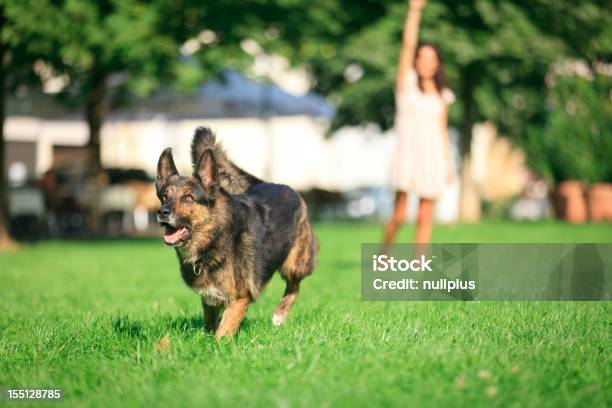 女性彼女の公園の中の犬 - 1人のストックフォトや画像を多数ご用意 - 1人, 20代, エスリンゲン