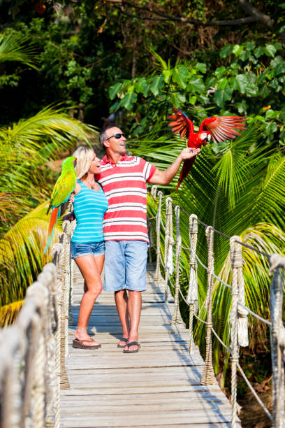 istock Couple holding parrots in jungle 155128994