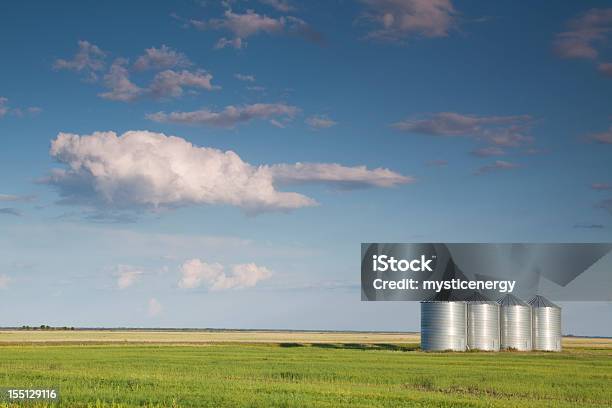 Manitoba Fiore Di Storage - Fotografie stock e altre immagini di Agricoltura - Agricoltura, Ambientazione esterna, America del Nord