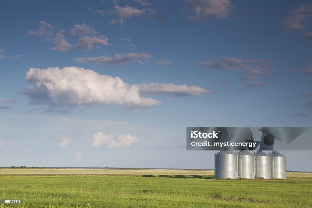 Manitoba Armazenamento de Grãos - Royalty-free Agricultura Foto de stock