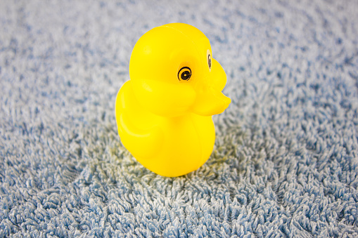 Children's toy duckling. Yellow duck toy for children.