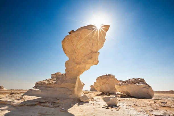 seta rock en el desierto blanco de egipto - white desert fotografías e imágenes de stock