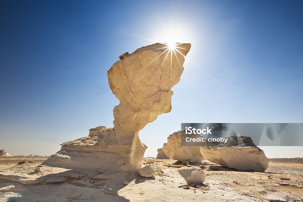 Mushroom Rock in the White Desert of Egypt  White Desert Stock Photo