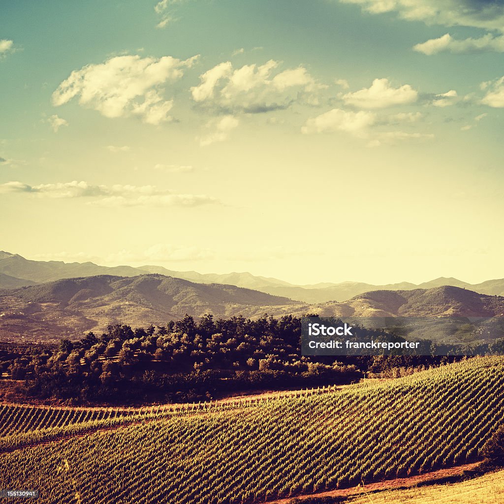 Région de Chianti collines et vignobles au coucher du soleil en Toscane - Photo de Agriculture libre de droits