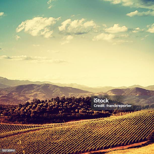 Photo libre de droit de Région De Chianti Collines Et Vignobles Au Coucher Du Soleil En Toscane banque d'images et plus d'images libres de droit de Agriculture