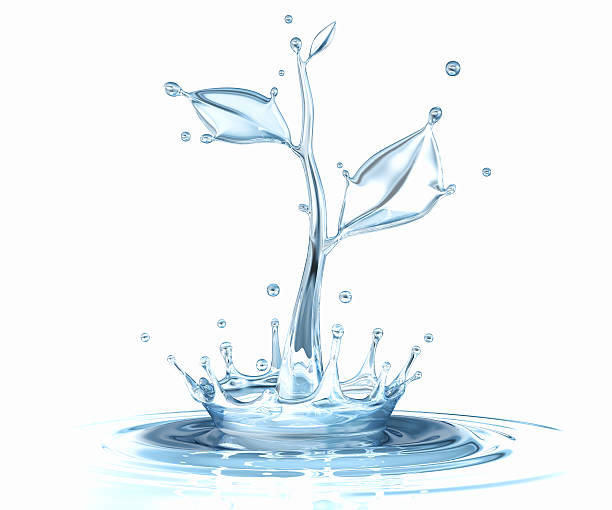 istock Water splash in form of plant 155131567