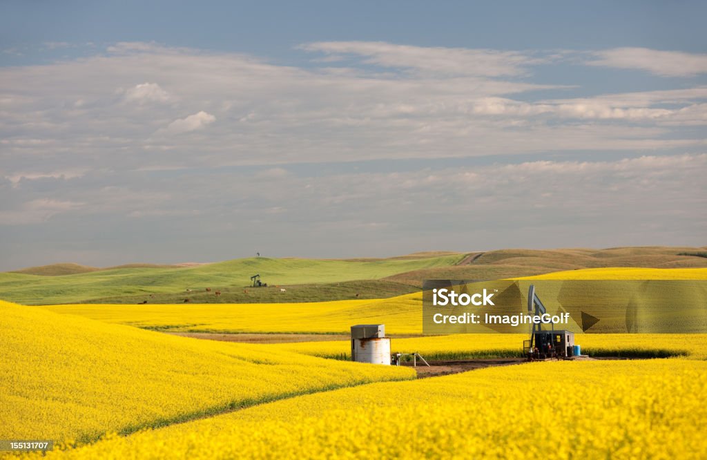 Pumpjacks na Prairie - Zbiór zdjęć royalty-free (Pomieszczenie do przechowywania)