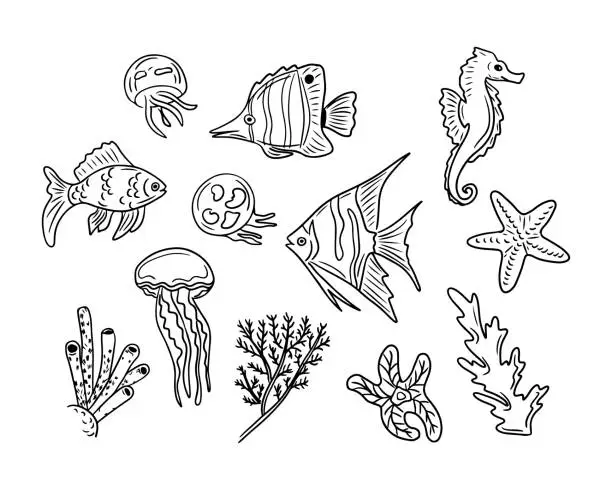 Vector illustration of Set of hand drawn doodle sea fish and creatures