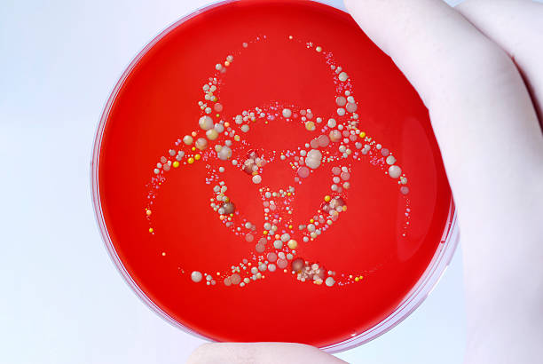perigo biológico - bacterial colonies imagens e fotografias de stock