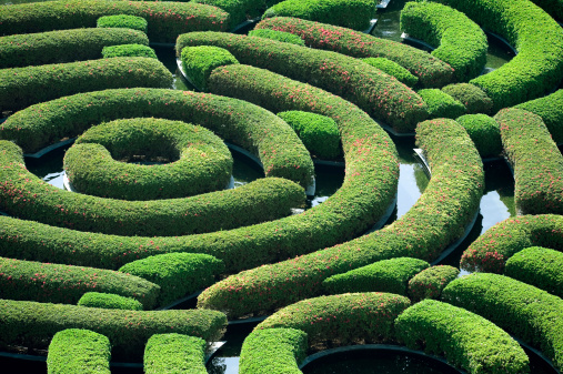 A hedge maze viewed from above.