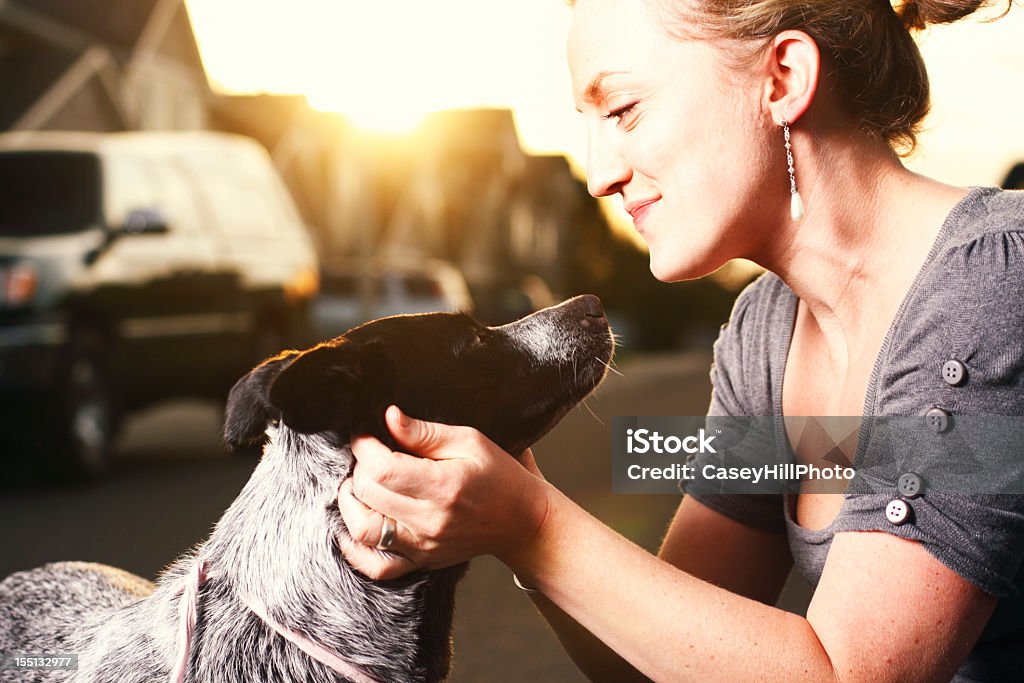 Mulher com cachorro - Foto de stock de Cão royalty-free