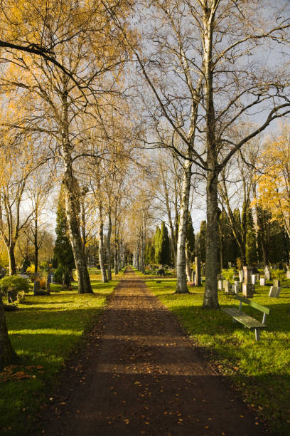 Cemetery in fall.  norway autumn oslo tree stock pictures, royalty-free photos & images
