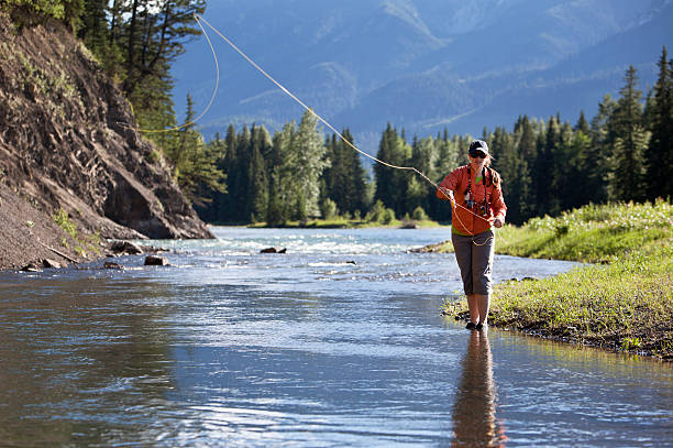 Fly Fishing  fly fishing stock pictures, royalty-free photos & images