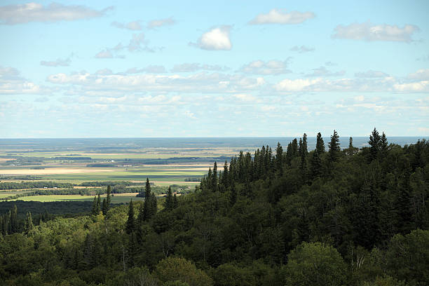 Riding Mountain  riding mountain national park stock pictures, royalty-free photos & images