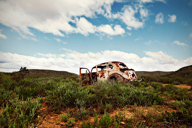 An old, rusty van abandoned in a field, surrounded by overgrown plants under the bright sunlight, showcasing decay and nature's reclamation.