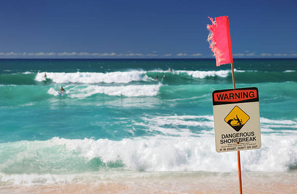 Surfers at North Shore, Oahu, Hawaii (XXXL)